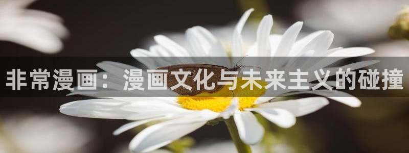 51漫画免费破解版