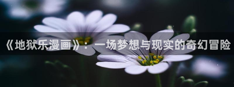 51漫画网免费阅读大全