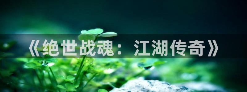 51漫画网站永久入口